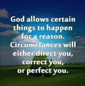 Meet your Posher, Rose